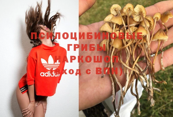 mdpv Бронницы