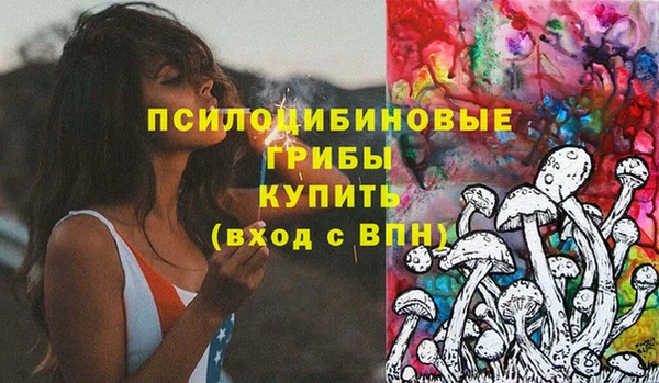 mdpv Бронницы