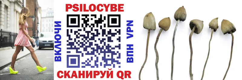 Псилоцибиновые грибы MAGIC MUSHROOMS  Купить закладки  Черняховск 